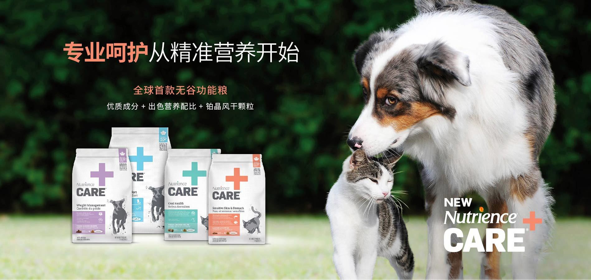 专业呵护从精准营养开始