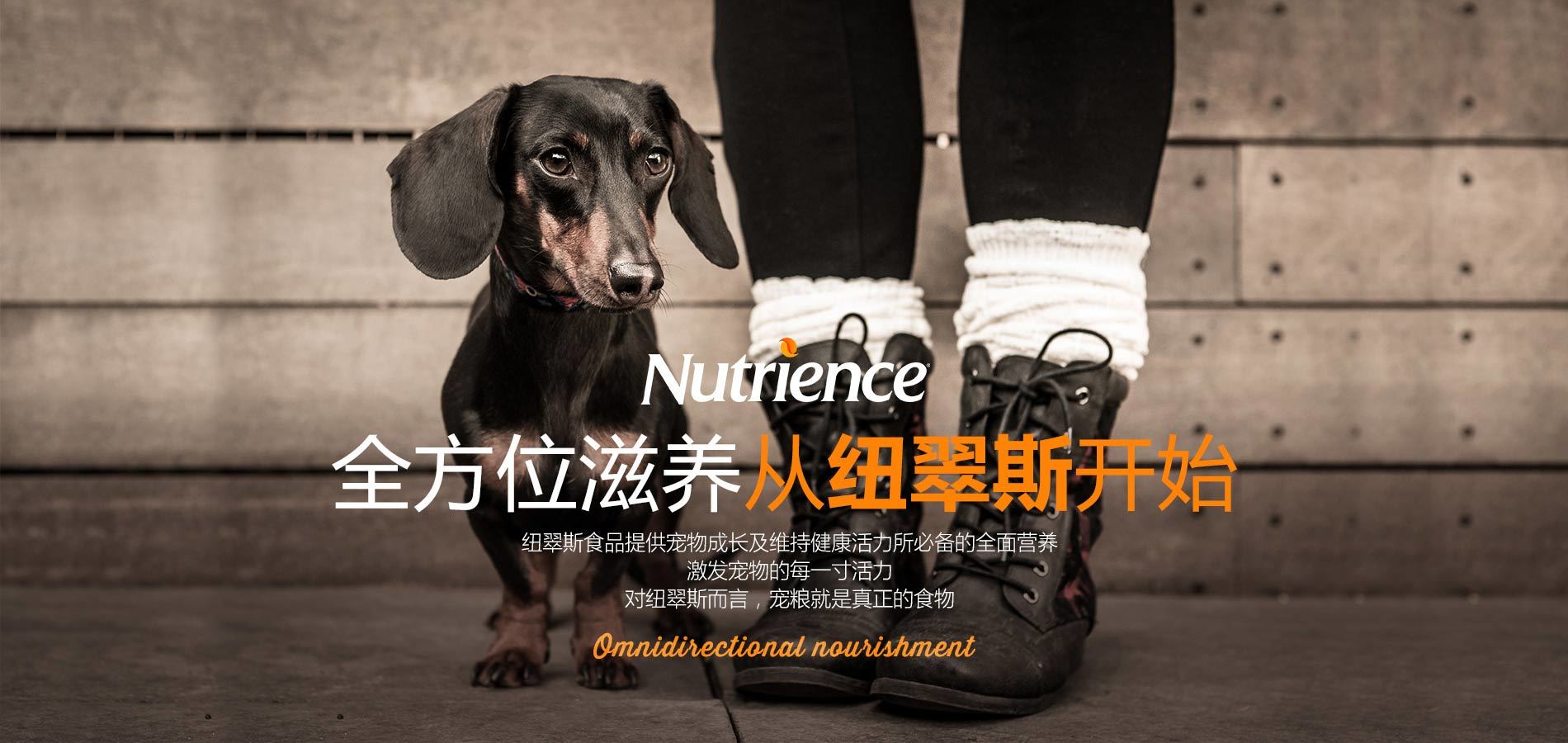 全方位滋养，从纽翠斯开始